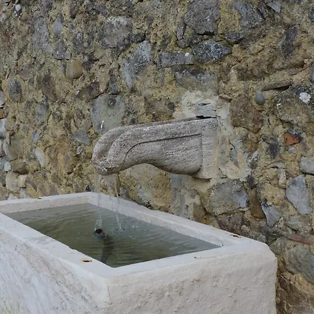 Refugio Da Ti Maria Batalha